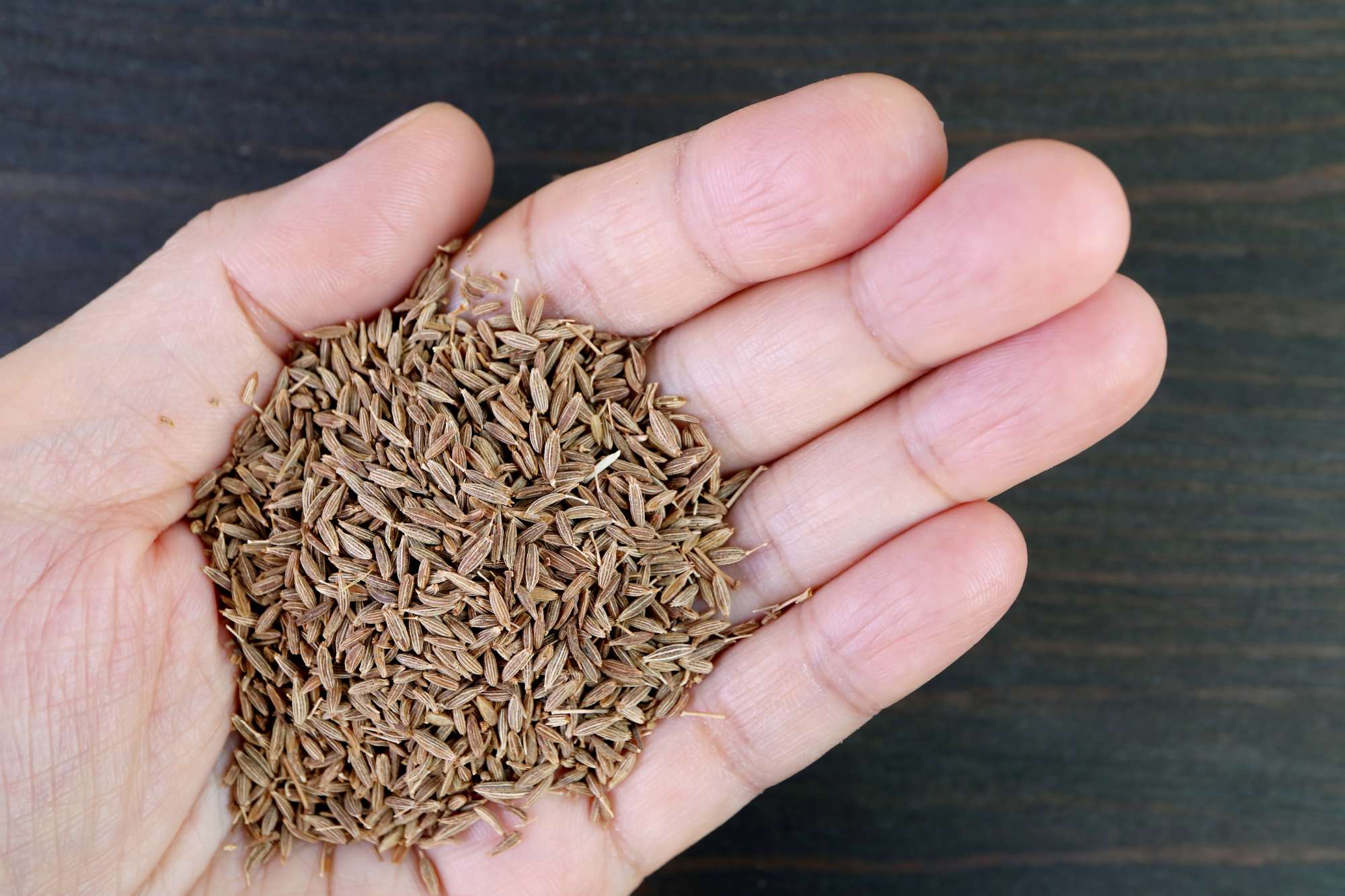 dried-cumin-seeds-Crocus Media.jpg